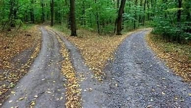 Two paths in a forest representing life choices